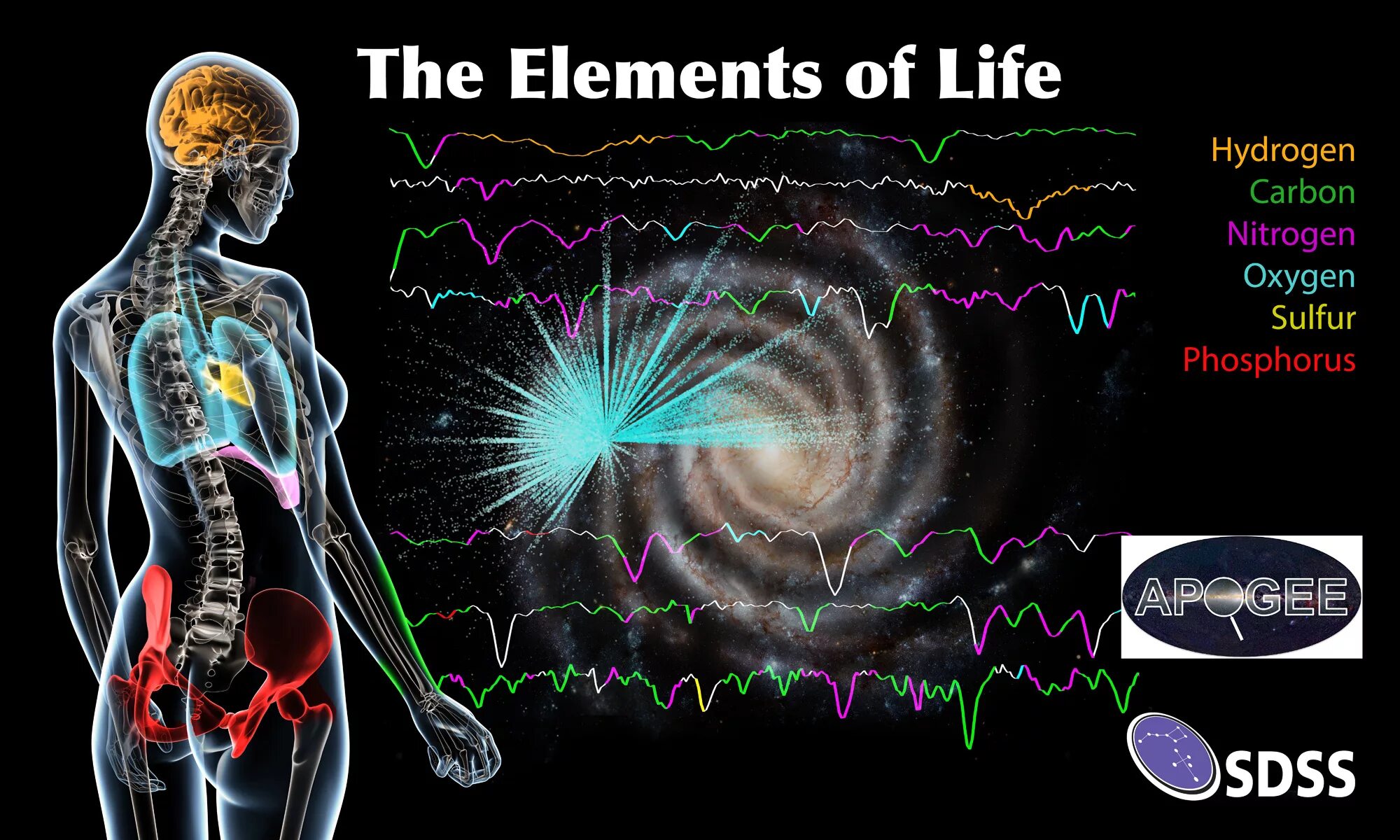 Элементы жизни. Человек состоит из звездной пыли. Атомы в человеческом теле. Человек состоит из частиц.
