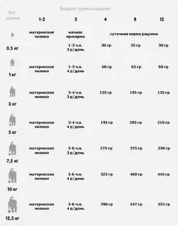 Какую рыбу можно давать щенку. Какую рыбу можно давать щенку