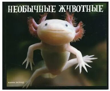 Ящерица аксолотль