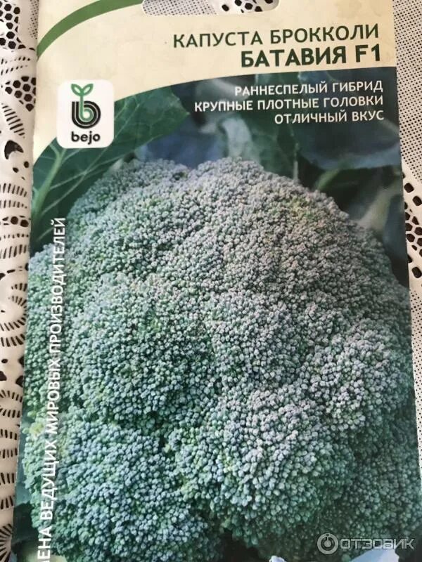 Капуста брокколи батавия описание сорта фото отзывы капуста брокколи БАТАВИЯ, Элком