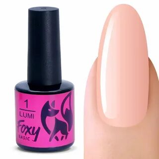 Foxy expert
