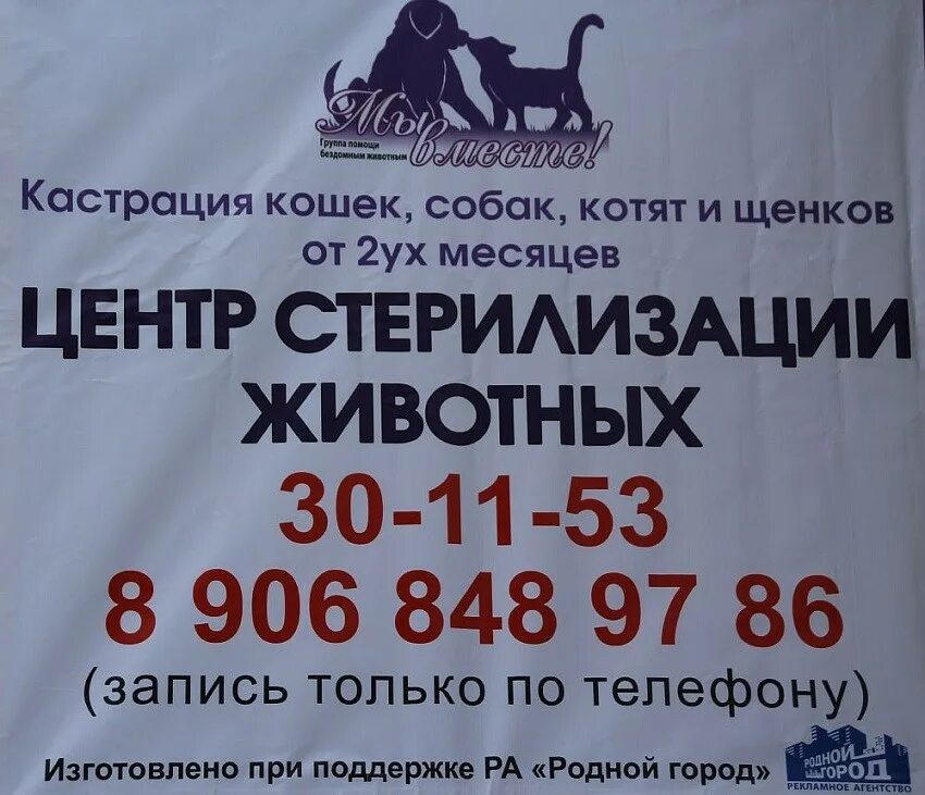 Центр стерилизации животных