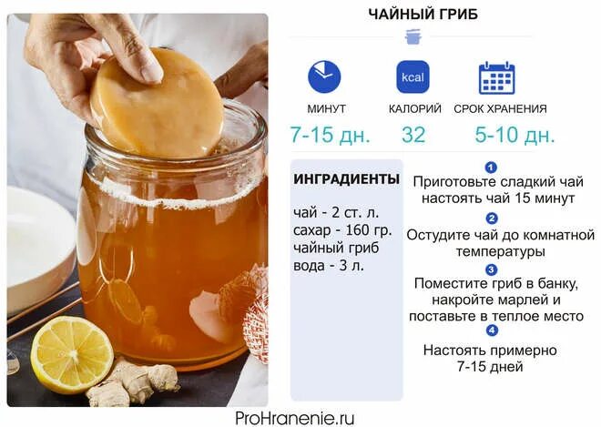 Как правильно пить чайный гриб и сколько. Как заварить чайный гриб на 3 литровую. чайный гриб пропорции на 1 литр. пропорции для чайного гриба на 1 литр воды. пропорции чая и сахара для чайного гриба на 1 литр.