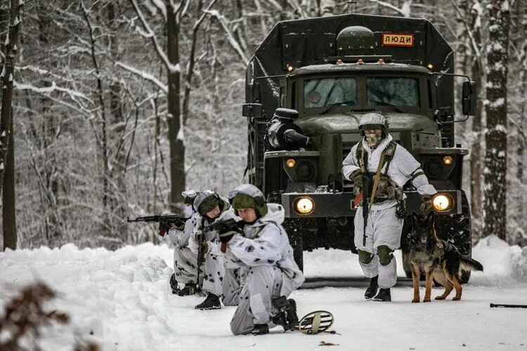 Комплекс дозор