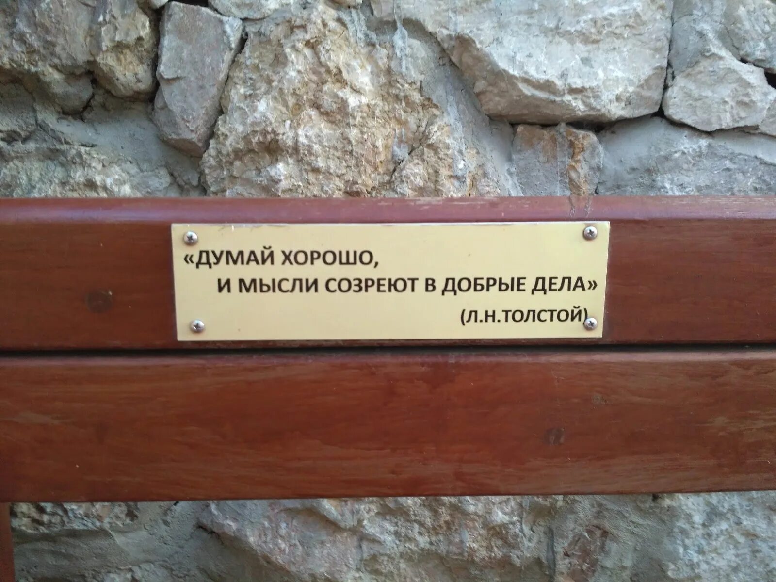 Не хорошо думай а хорошо делай. Думайте хорошо и мысли созреют в добрые поступки. думай хорошо и мысли созревают в добрые. думайте хорошо и мысли созреют в добрые поступки разбор предложения. думай хорошо и мысли созреют в добрые поступки лев толст.