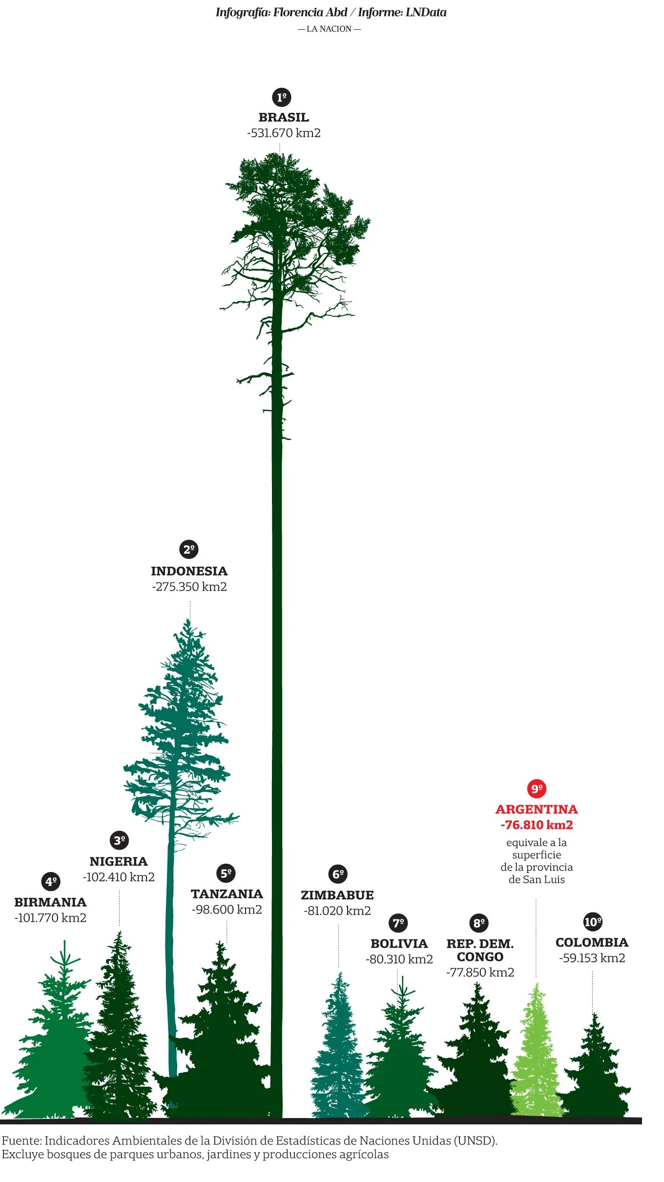 Сколько деревьев в России. Высокорослые деревья. Инфографика вырубка лесов. Статистика вырубки лесов в мире.