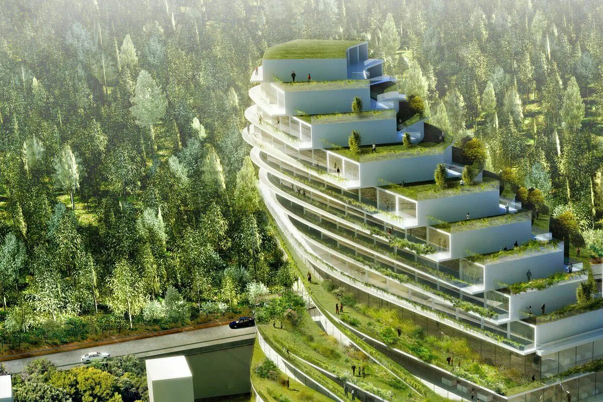 Mir project