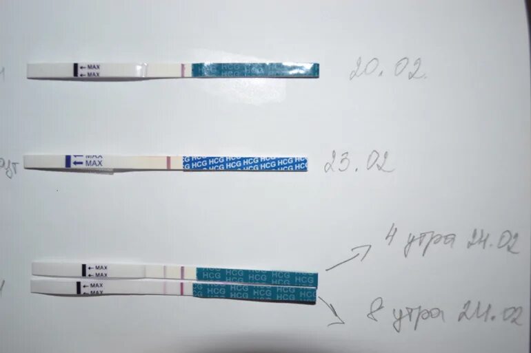 Полоска призрак на тесте на беременность фраутест. Тест фраутест 2 полоски. Тест HCG 2 полоски. Тест со слабой второй полоской. Срок на тесте 3