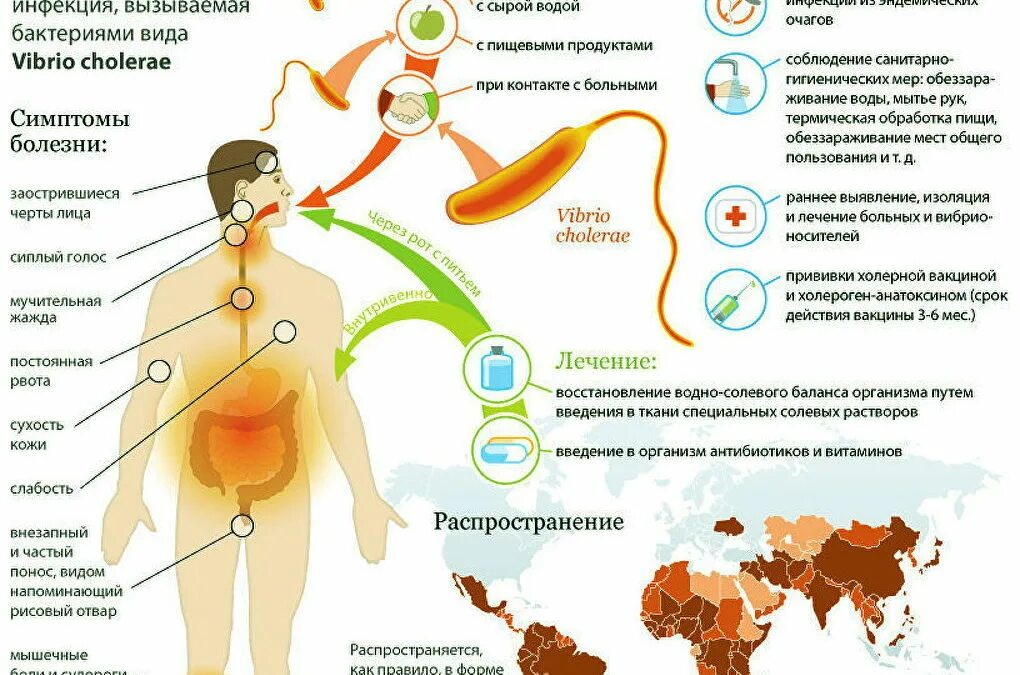 Заражение воды холерой в россии. Холера симптомы памятка. Холерный вибрион пути передачи. Холерный вибрион признаки. Эпидемиология и профилактика холеры.