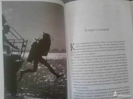 В омут с головой
