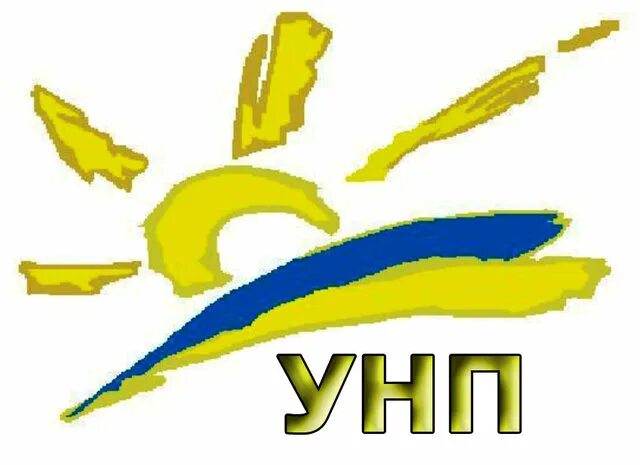 Унп 10. Унп что это.