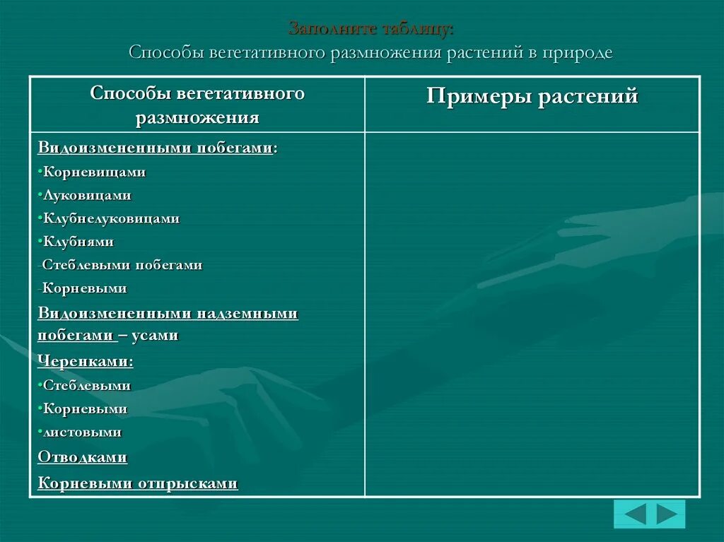 Вегетативное размножение растений примеры таблица. Способы вегетативного размножения растений таблица. Заполните таблицу способы вегетативного размножения растений. Таблица по биологии 6 класс способы вегетативного размножения. Вегетативное размножение способ размножения таблица.