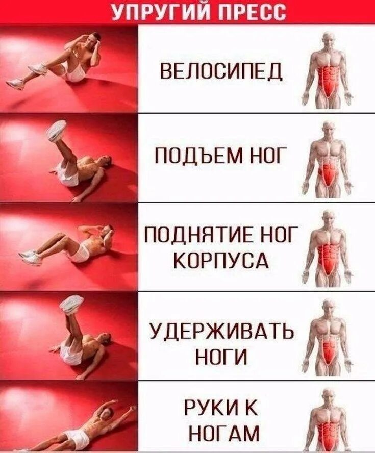 Эффективные упражнения для пресса для женщин. Упражнения на пресс для девушек. Эффективные упражнения для пресса для женщин. Упражнения для нижнего пресса для девушек. Комплекс упражнений для мышц пресса.