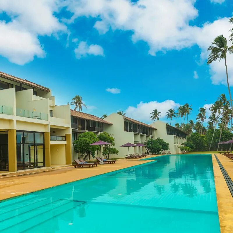 Oak ray haridra beach resort). Оак рей бич. Oak ray haridra beach resort шри-ланка. Оак рей бич. Шри ланка ваддува отель.