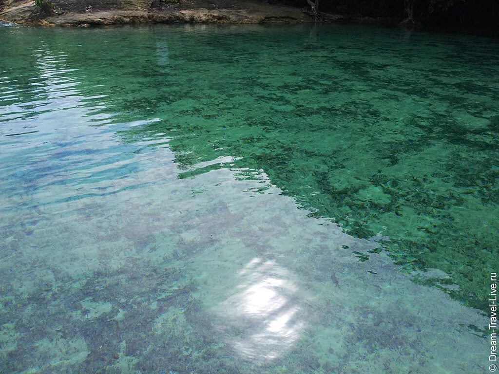 Змейское озеро Минеральные воды. Изумрудное озеро в Искитиме. Изумрудная вода. Изумрудное и голубое озеро в Краби.