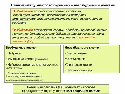 Какие ткани средние