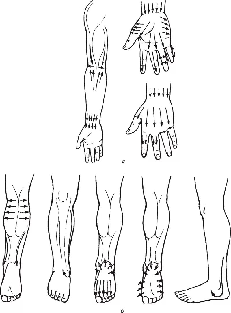 Направление массажных движений при массаже. Направление массажных движений при массаже конечностей. Соединительнотканный массаж Трипольская. Лимфодренажный массаж схема. Массажные линии на ногах.
