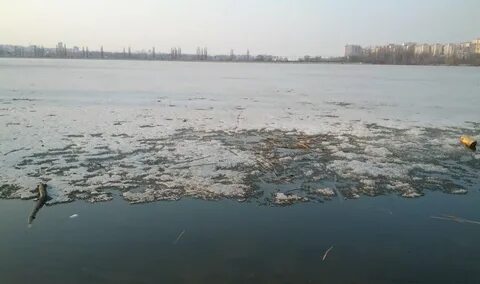 Рано воронеж