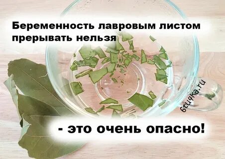 Лавровый лист для выкидыша