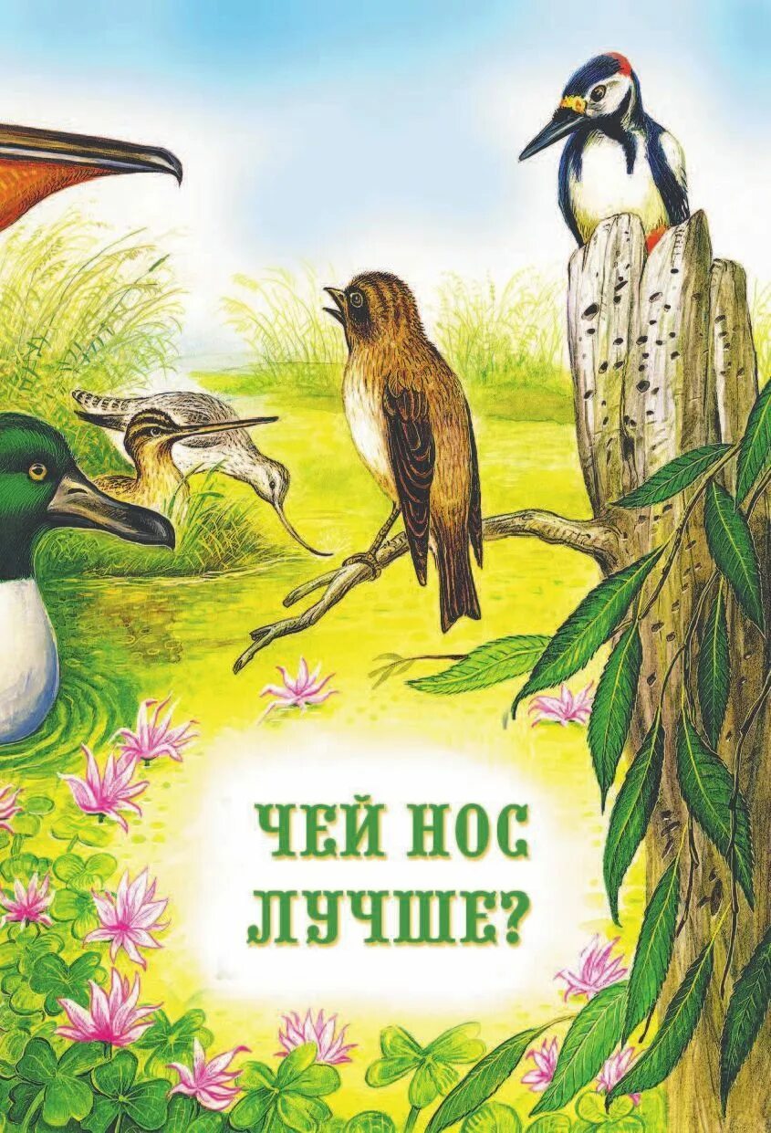 Бианки рассказы про птиц. Сказка виталия виталия бианки чей нос лучше. бианки чей нос лучше иллюстрации.