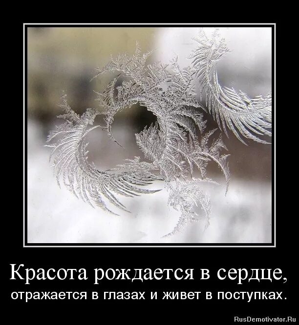 рожденные сердцем