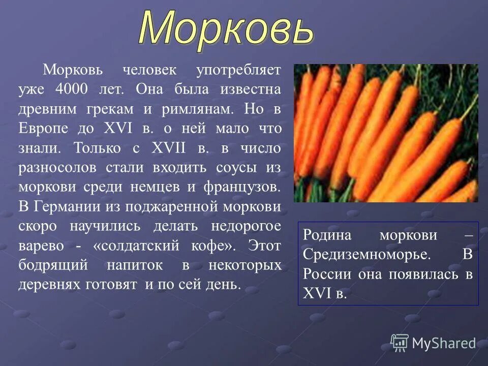 Масса выращенной моркови в 3 раза. Морковь. Описание моркови. Призентацияна тему морковь. Рассказ про морковь.