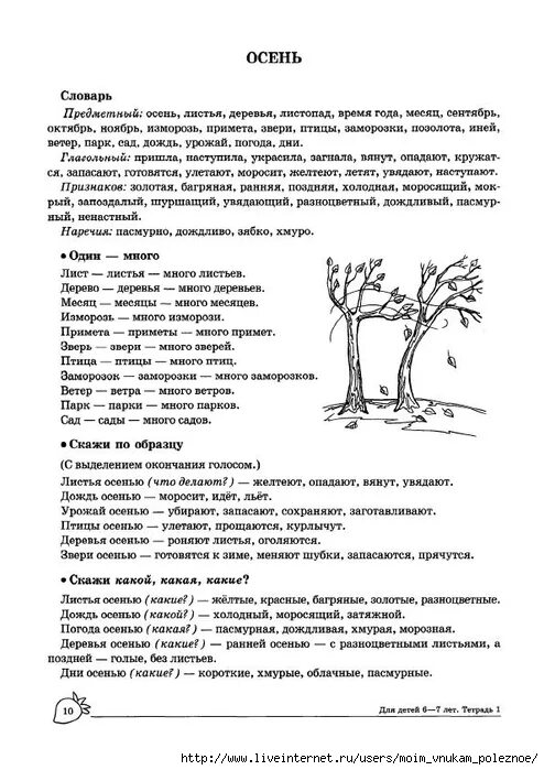 Задачи логопедической группы. Лексическая тема осень в подготовительной группе. Задания по теме деревья в старшей группе. Лексическая тема деревья в подготовительной группе. Домашнее логопедическое задание на тему деревья.