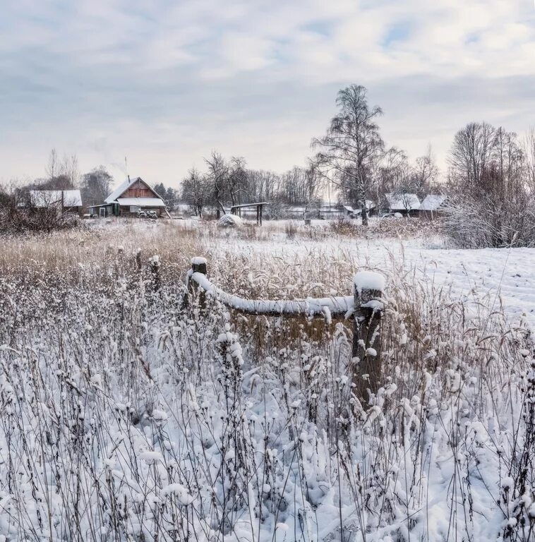 Первый снег в селе. Первый снег в деревне. деревня в снегу. снегопад в деревне. снег в селе.