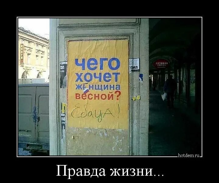 Женские капризы прикол. Кто мы женщины чего мы хотим картинка. Чего хотят женщины прикол. Женский юмор. Приколы про весну.