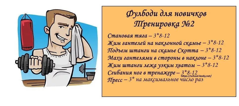 Фулбоди программа тренировок для женщин. Фулбоди программа тренировок. фулбади тренировка для девушек. программа фулбоди для девушек. фулбоди для новичков.