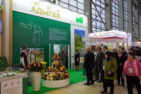 Выставка золотая осень в школе