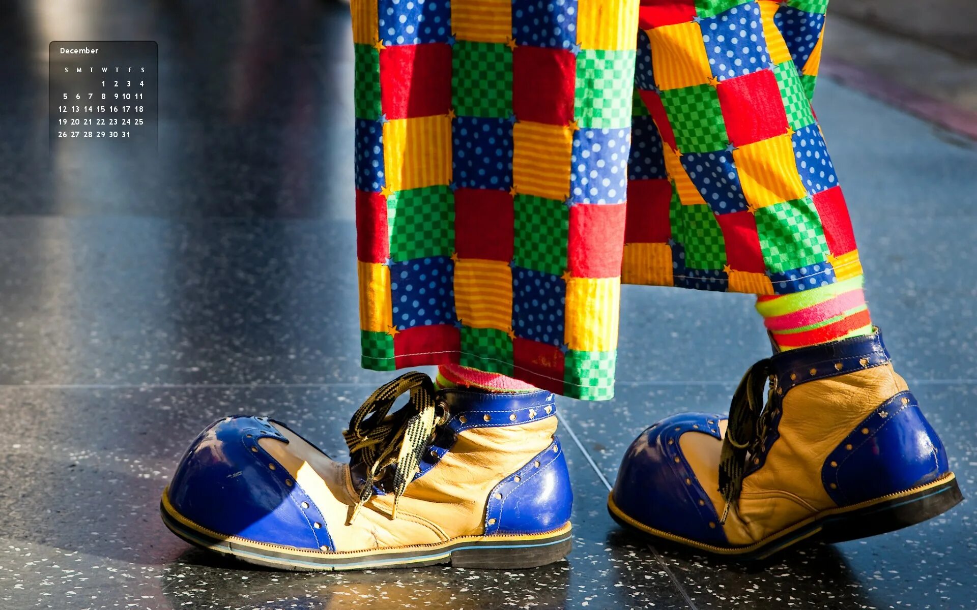 Нога клоуна. Клоунские ботинки. Клоунские туфли. Башмаки клоуна. Клоунские ботинки длинные.