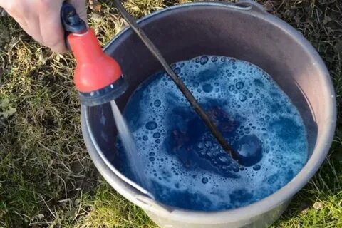 Можно обрабатывать клубнику железным купоросом
