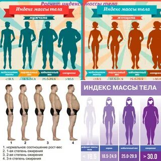 Индекс массы вес кг рост рост