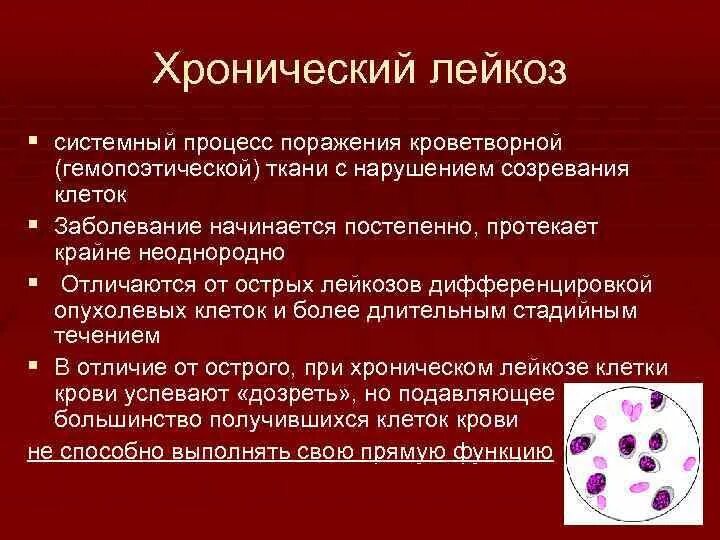 Болезни крови у мужчин. Хронический лейкоз. Острый и хронический лейкоз. Хронический лейкоз симптомы. Хронический лейкоз проявление.