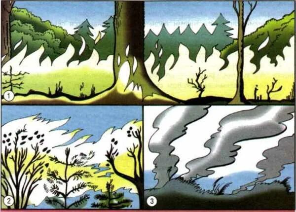 Верховой и низовой пожар. Лесные и торфяные пожары. Виды пожаров низовой верховой подземный. Виды низовых пожаров.