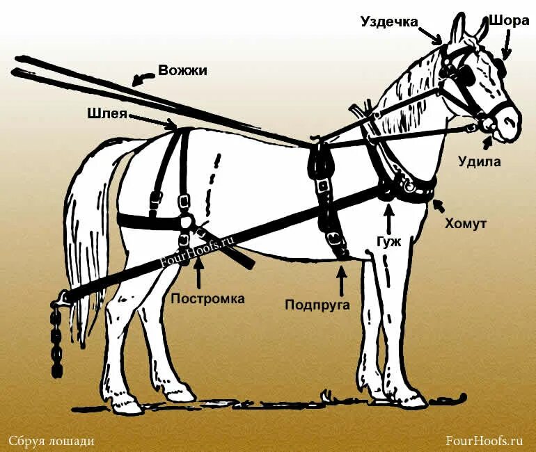 Вожжа попала. Конская упряжь, сбруя. Сбруя для лошадей. Название сбруи для лошади. Строение упряжи для лошадей.