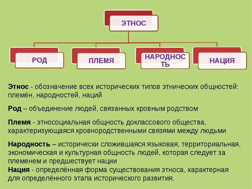 Род племя народность. Этнос нация народность. Этнос нация Национальность. Этнос племя народность нация. Как рожают племена