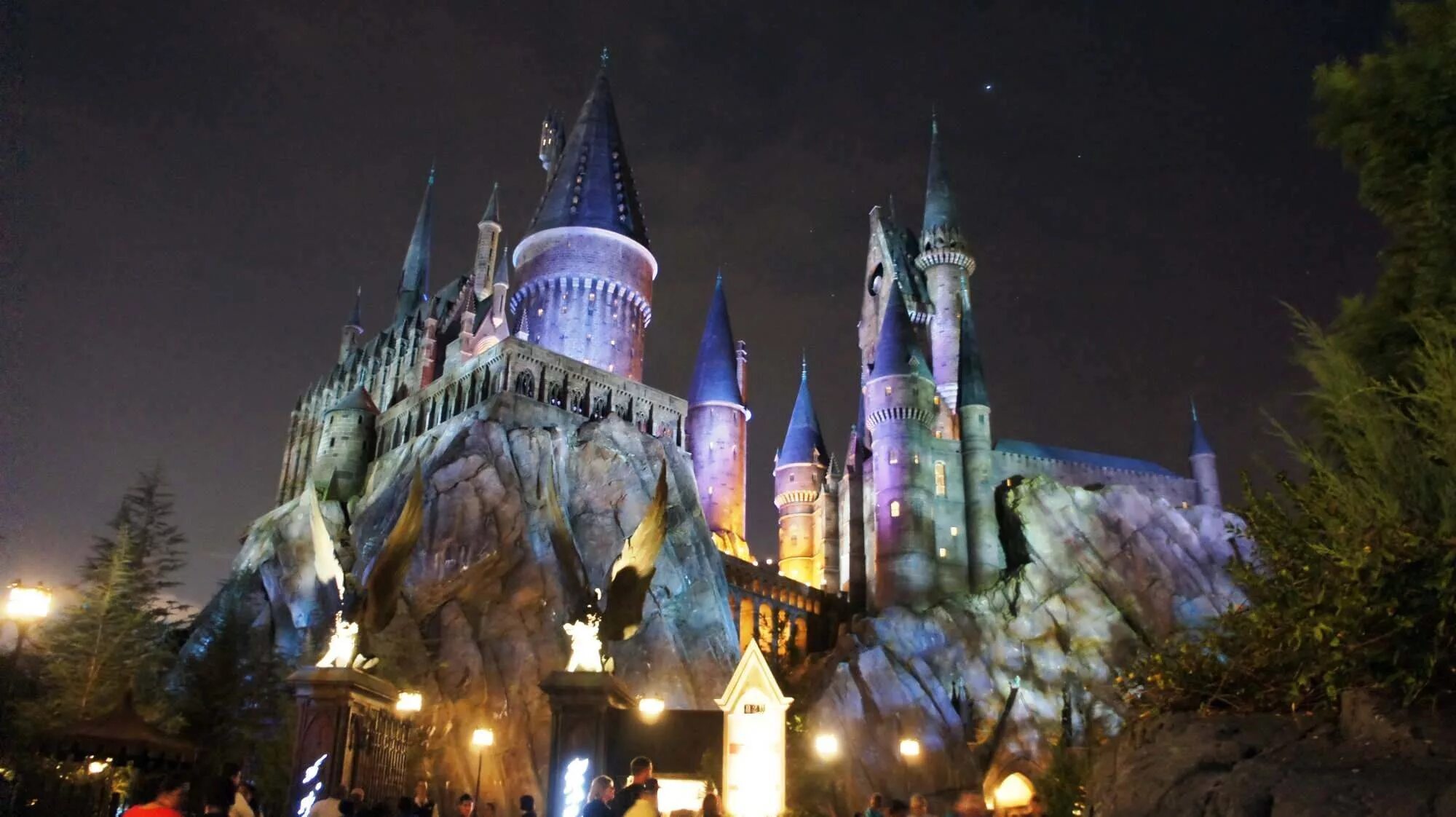 Wizarding world of harry