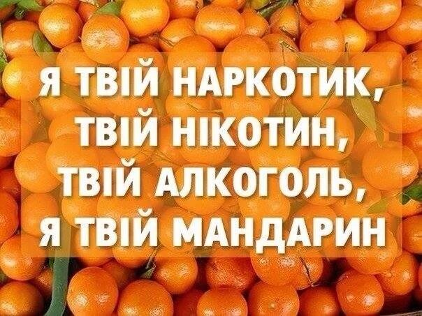 Хочу мандарин. Смешные цитаты про мандарины. Прикольные фразы про мандарины. Шутки про мандарины. Мандарины новый год прикол.