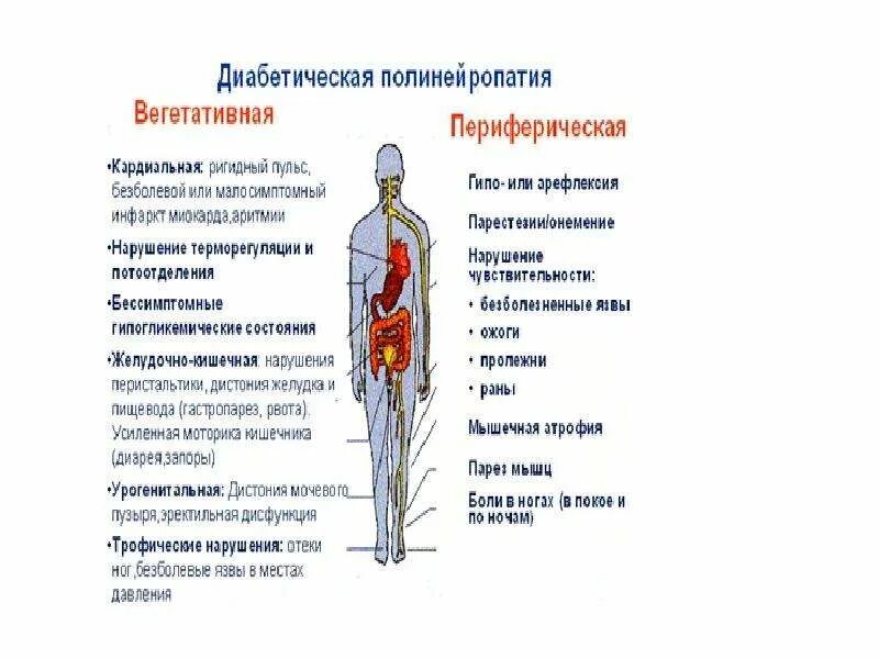 Симптомы диабетической нейропатии конечностей. Патогенез алкогольной полинейропатии. Симптомы диабетической полинейропатии нижних конечностей. Проявление дистальной диабетической полинейропатии.