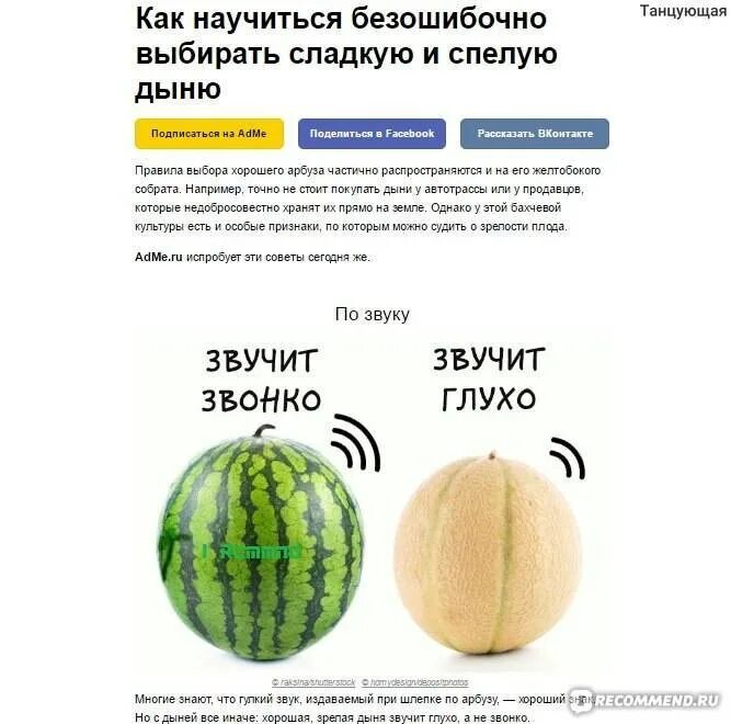 Как выбрать дыню. Как правильно выбрать дыню спелый и сладкий. как выбрать дыню спелую и сладкую. как определить сладкую дыню. признаки спелого арбуза.