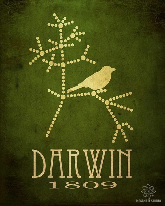 Дарвин садовый центр пушкино. Сц дарвин. Постеры биология. Darwin md. Дарвин деревья.