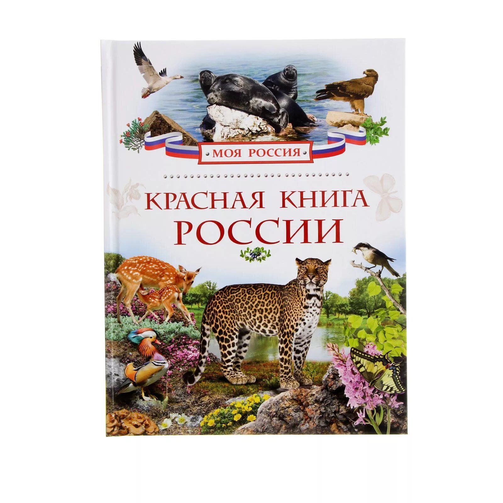 Сайт книги рф. Красная книга России книга. Красная книга российс.... Обложка красной книги России. Энциклопедия животные красной книги России.