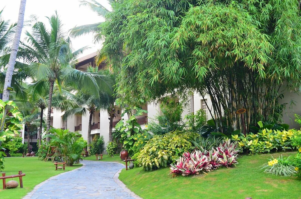 Отель бамбу виладж вьетнам. Фантьет bamboo village. Village beach resort spa 4. Bamboo village 4 вьетнам. Bamboo village resort spa 4 вьетнам муйне.