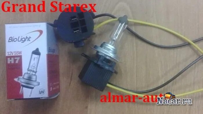 Лампочка ближнего света гранд старекс. Гранд старекс лампа ближнего. Лампочка фары хендай элантра 2004. Патрон для лампочки ближнего света hyundai grand starex. Лампа ближнего света хендай н1.
