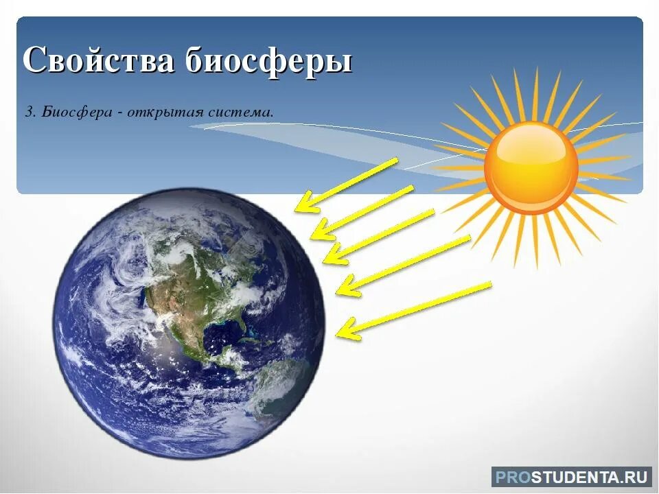 Контрольная по теме биосфера. Свойства биосферы. биосфера открытая система. основные свойства биосферы. характеристика биосферы.