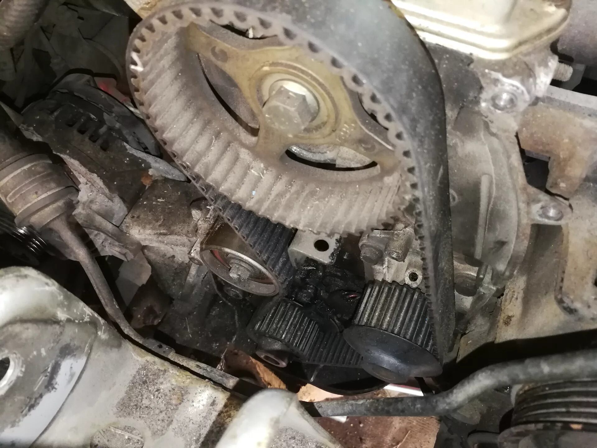 Грм mitsubishi galant 8. 6 4g92. Mitsubishi md326059 ремень грм. 6 4g92. Ремень грм 4g92.