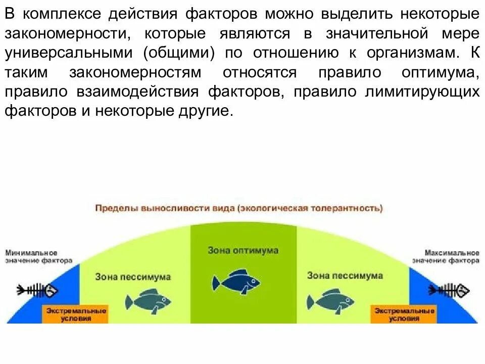 Общие закономерности действия факторов. Закономерности действия факторов среды. Закономерности действия факторов среды на организмы. Общие закономерности действия факторов на организмы. Закон взаимодействия факторов