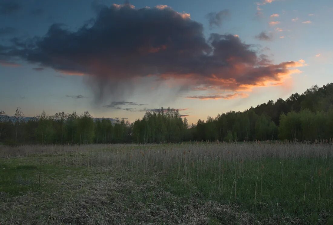 Дождь не достигающий земли как называется. Кратковременный дождик. Вирга дождь. Явление вирга. Вирга природное явление.